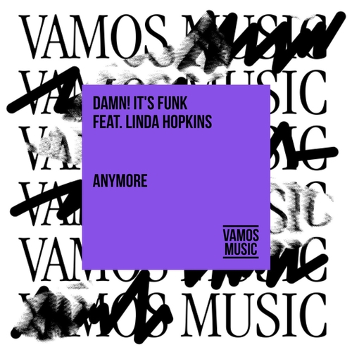 DAMN! IT'S FUNK - Anymore (feat. Linda Hopkins) [VAM835]
